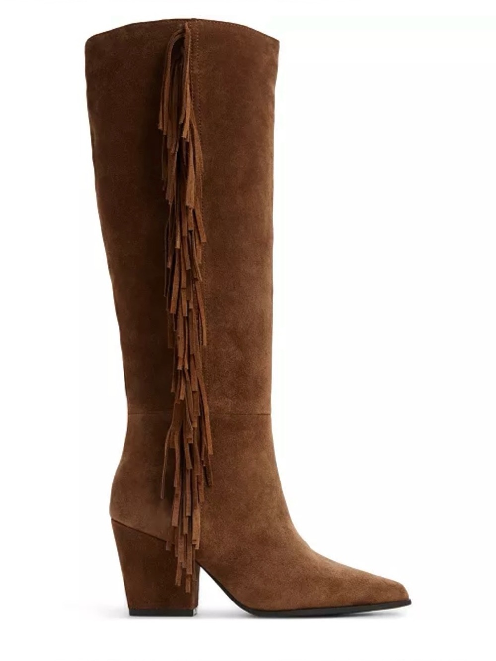 ALDO Women's Kaelya Knee-High , leather suede Tall Fringe Western Boots
